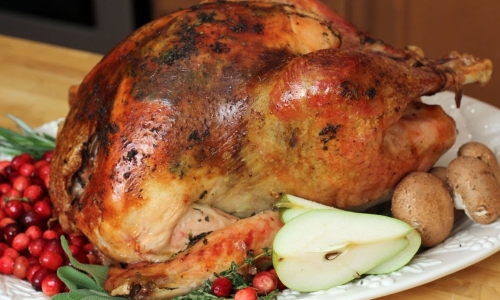 Thanksgiving Roasted Turkey Recipe-image