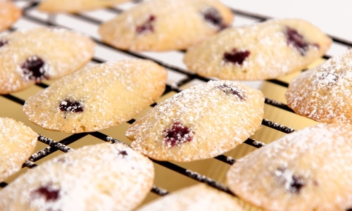 Lemon Blueberry Madeleines